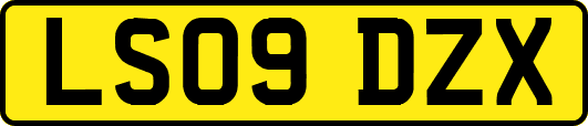 LS09DZX