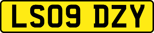 LS09DZY