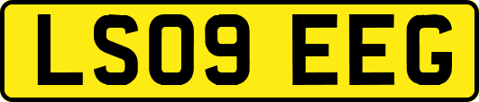 LS09EEG