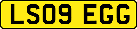 LS09EGG