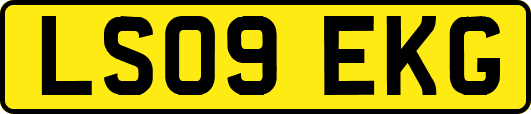 LS09EKG