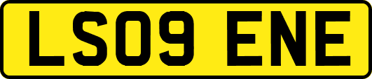 LS09ENE