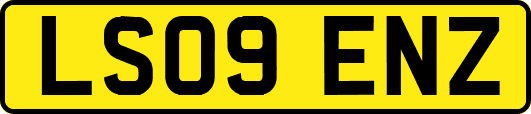 LS09ENZ