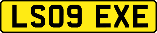 LS09EXE