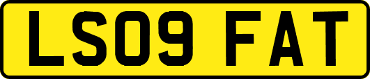 LS09FAT