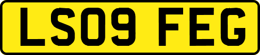 LS09FEG