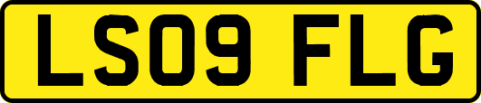 LS09FLG