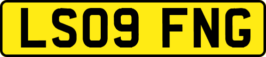 LS09FNG