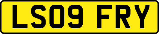 LS09FRY