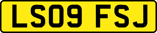 LS09FSJ