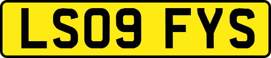 LS09FYS