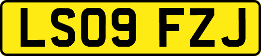 LS09FZJ