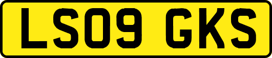 LS09GKS