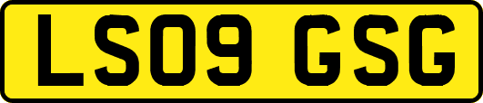 LS09GSG