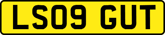 LS09GUT