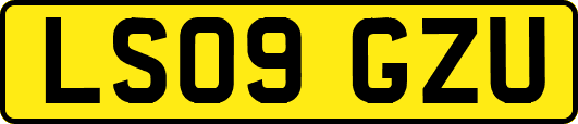 LS09GZU