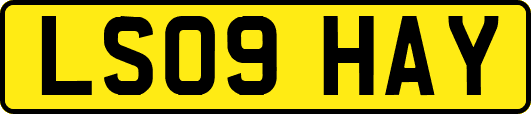 LS09HAY