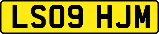 LS09HJM