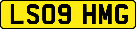 LS09HMG