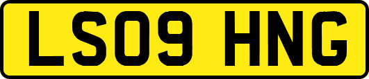 LS09HNG
