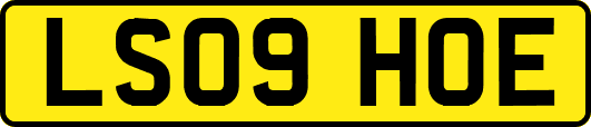 LS09HOE