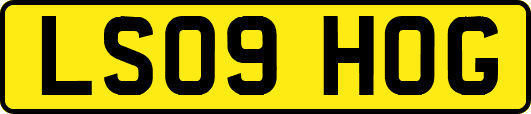 LS09HOG