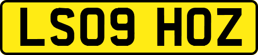 LS09HOZ