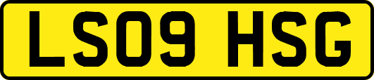 LS09HSG