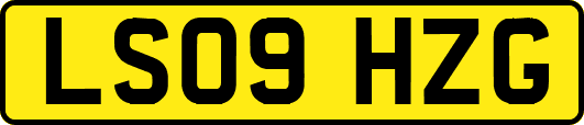 LS09HZG