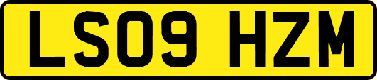 LS09HZM