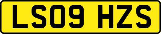 LS09HZS
