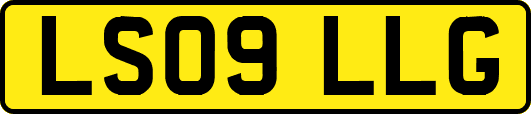 LS09LLG