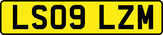 LS09LZM