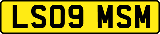 LS09MSM