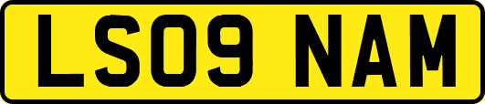 LS09NAM