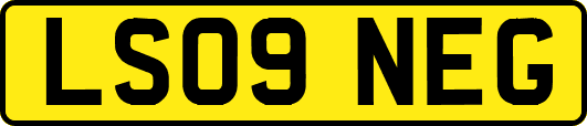LS09NEG