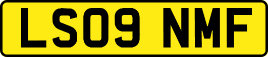 LS09NMF