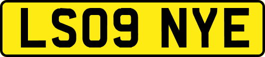 LS09NYE