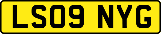 LS09NYG