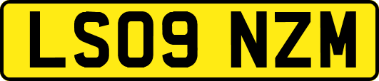 LS09NZM