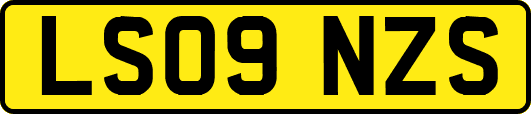 LS09NZS