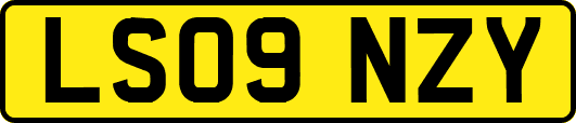 LS09NZY