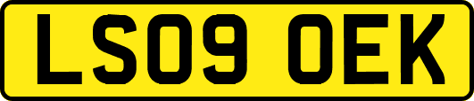 LS09OEK