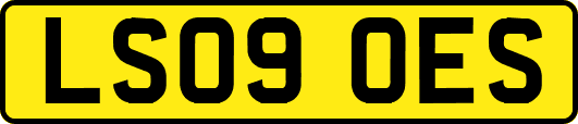 LS09OES