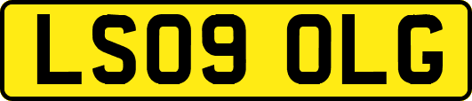 LS09OLG