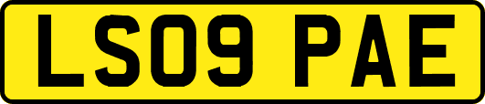 LS09PAE