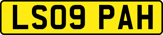 LS09PAH