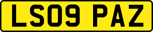 LS09PAZ