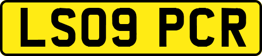 LS09PCR