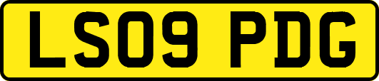 LS09PDG